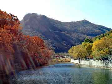 管家婆免费正版资起大全，长春祛痘医院